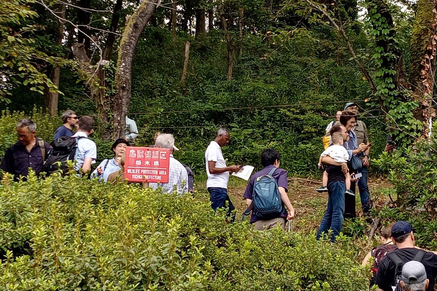 FABIans participate at IUFRO Division 7 Meeting in Japan