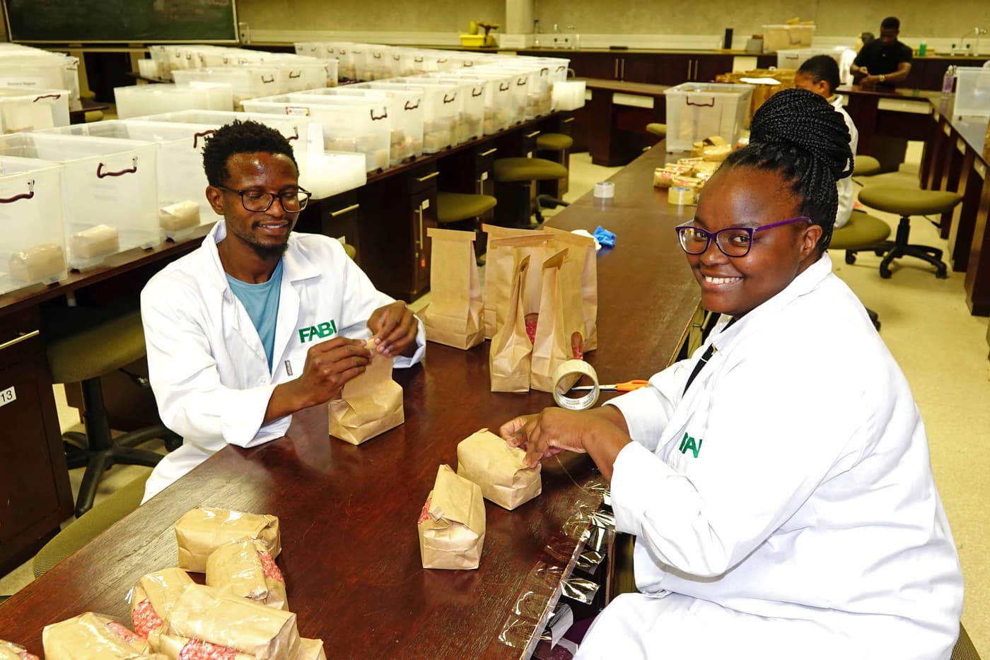 Annual seed packing for National Maize Cultivar Trials