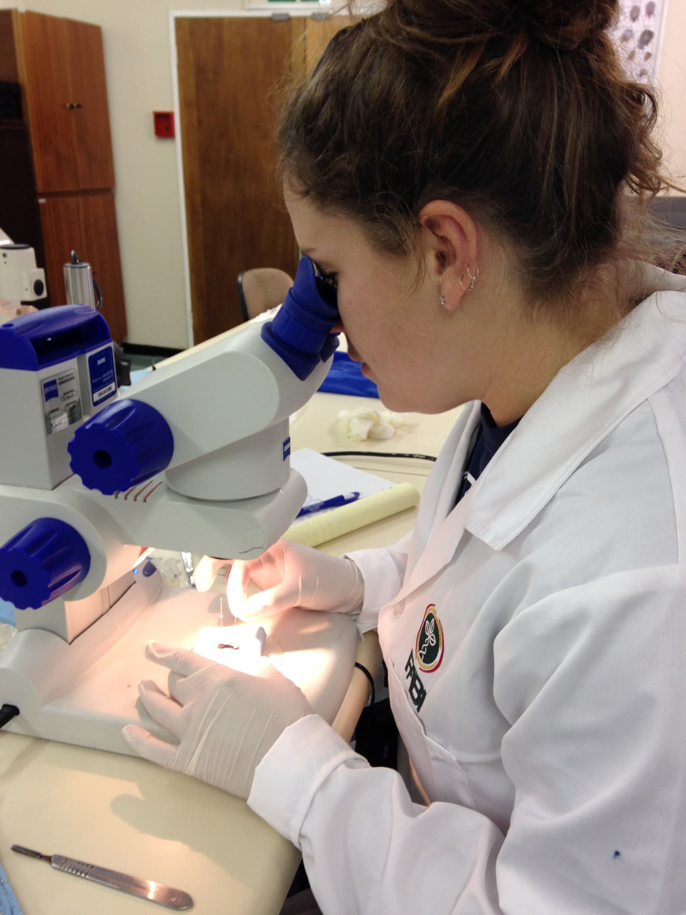 USA scientists visit FABI as part of Sirex collaborations