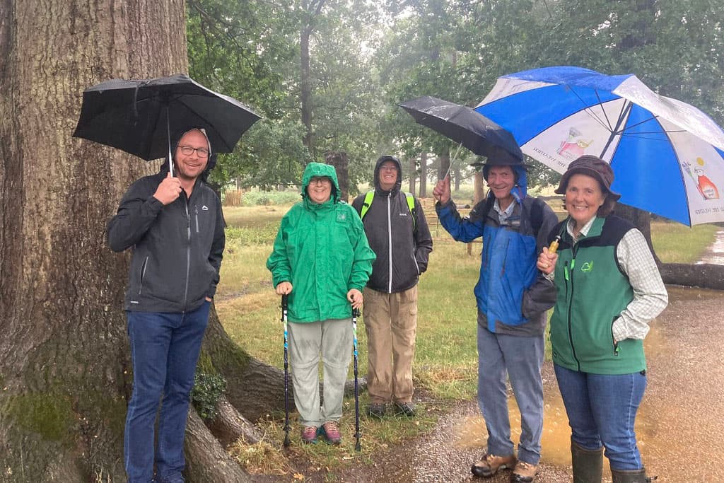 Linking with mycology and forestry research in the UK