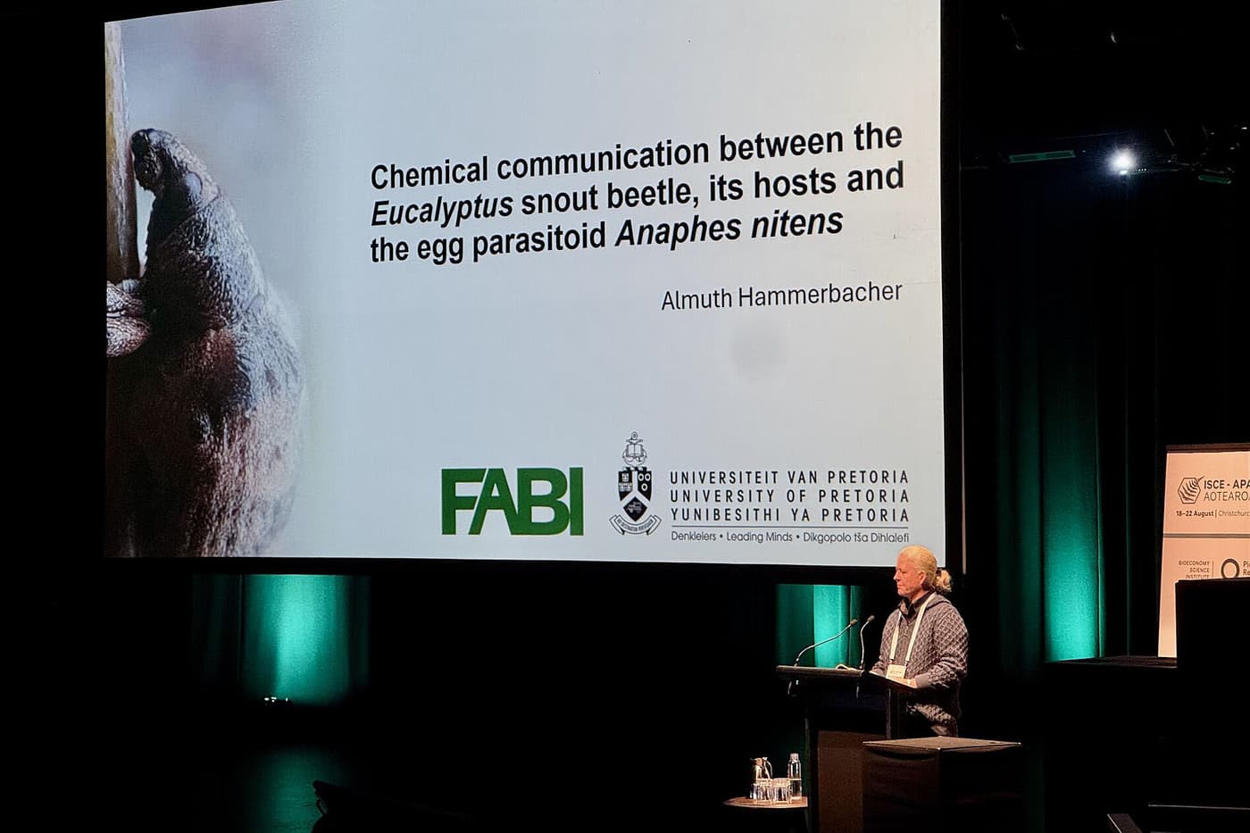 Prof. Almuth Hammerbacher recognised for her contribution to chemical ecology research