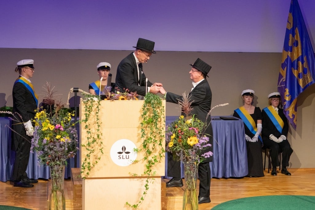 Prof. Mike Wingfield awarded an Honorary Doctorate by the Swedish University of Agricultural Science (SLU)