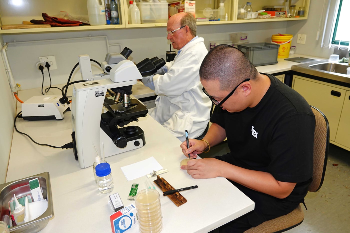 Continuing the search for beetle-loving yeasts