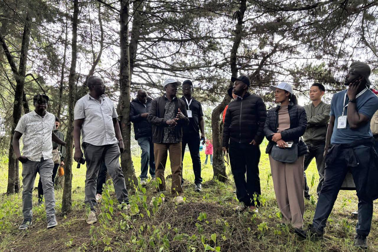 FABI Researchers attend the IUFRO Small-scale Forestry and Forest History and Traditional Knowledge
