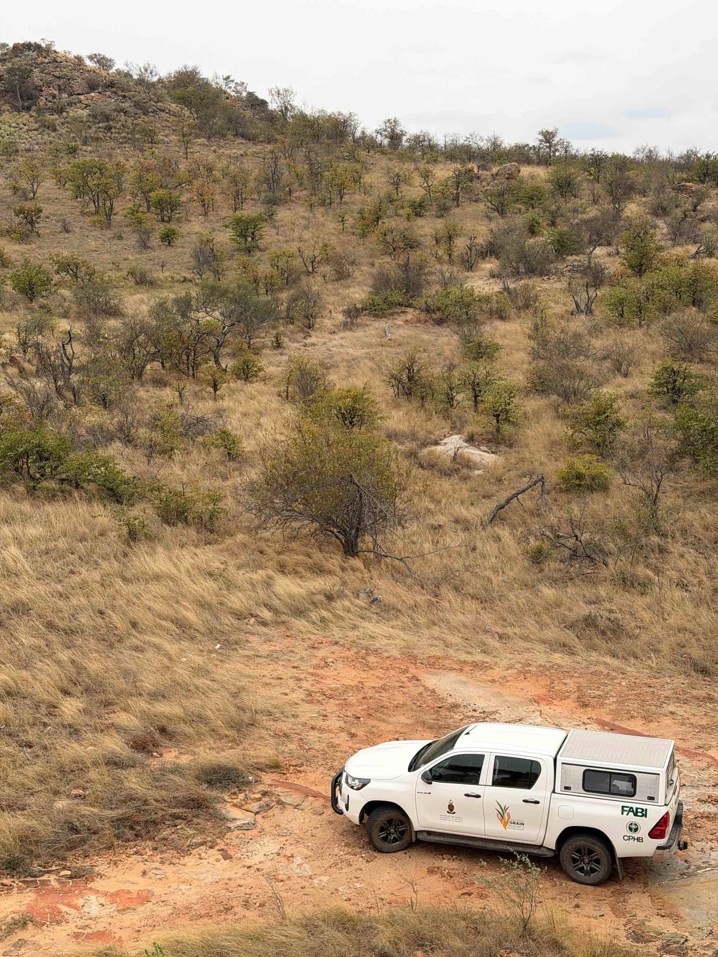 CryptoADAPT team completes fieldwork in Mapungubwe National Park