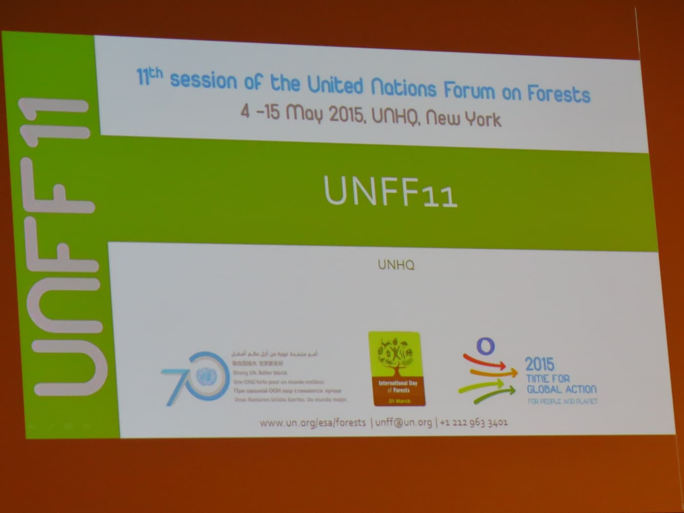 FABI director attends UNFF11 in New York