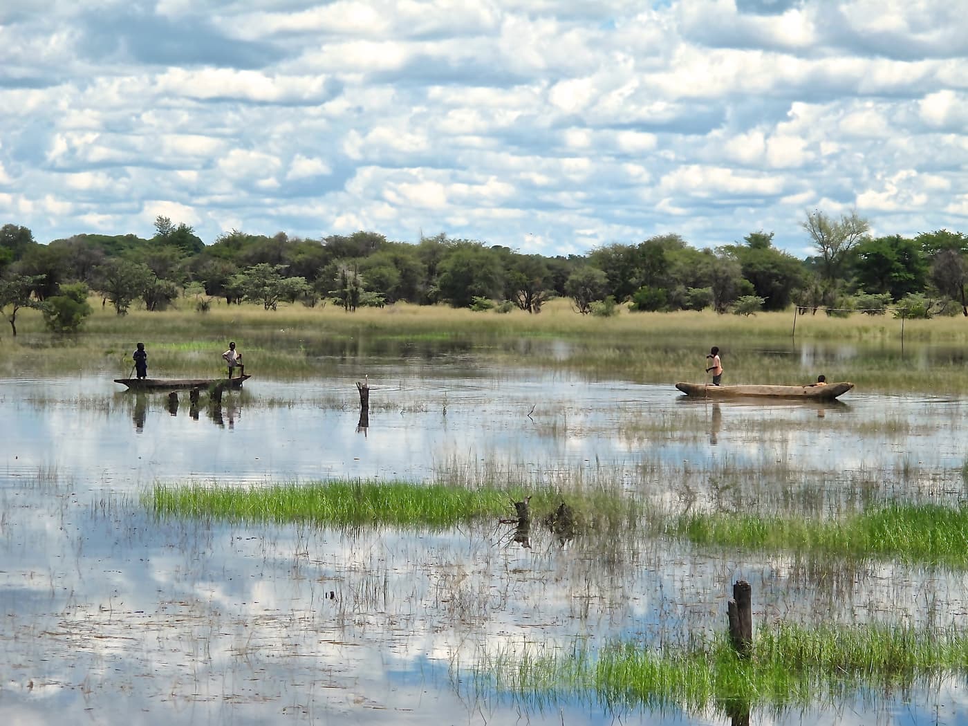 Photo by FABI postdoc selected for exhibition at the Commonwealth Games in Glasgow