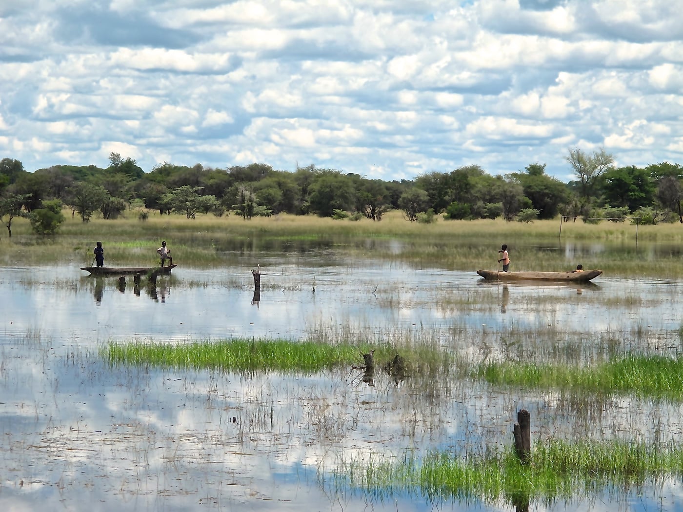 Photo by FABI postdoc selected for exhibition at the Commonwealth Games in Glasgow