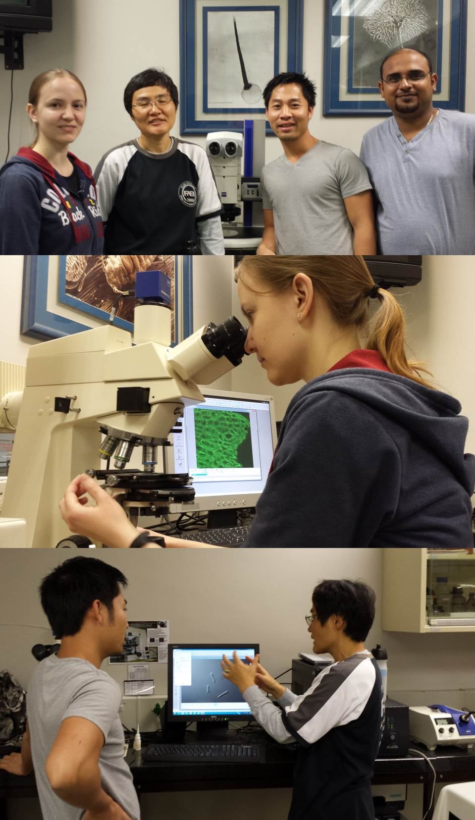 Advanced Microscopy Course Held on 6 May 2014 for FABI Students