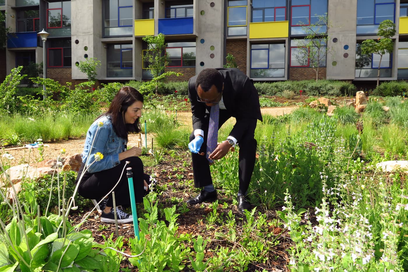 University Vice-Chancellor participates in a fungal citizen science project