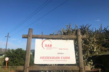 FABI researcher visits SAB hop farm