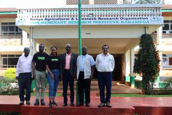 Maize disease outreach extends to Kenya