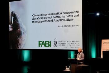 Prof. Almuth Hammerbacher recognised for her contribution to chemical ecology research