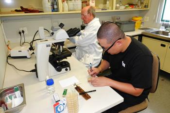 Continuing the search for beetle-loving yeasts