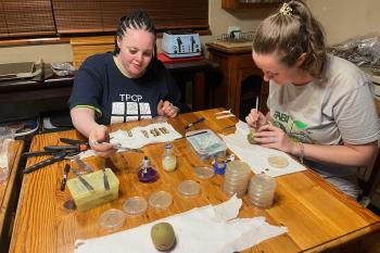 Its Kiwifruit harvesting time and the KPP team wraps up another season!