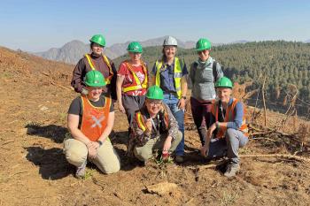 Fungi associated with South African pine-infesting bark beetles: The search continues