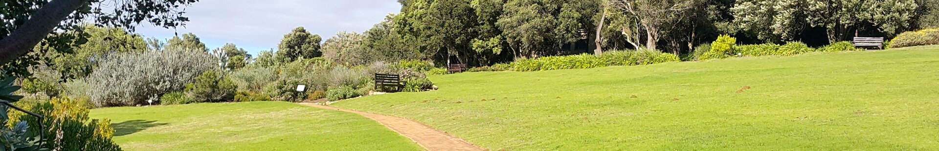 Kirstenbosch_1header.jpg