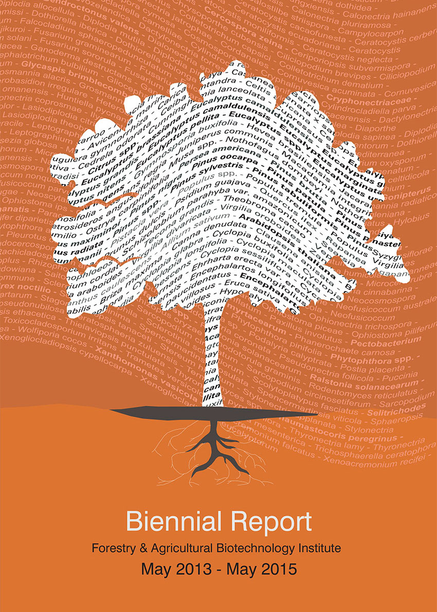 FABI Biennial Report 2013/2015